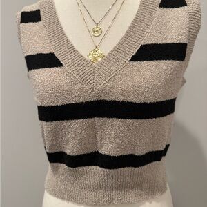 Wren Black and Tan Striped V-Neck Sweater Vest
